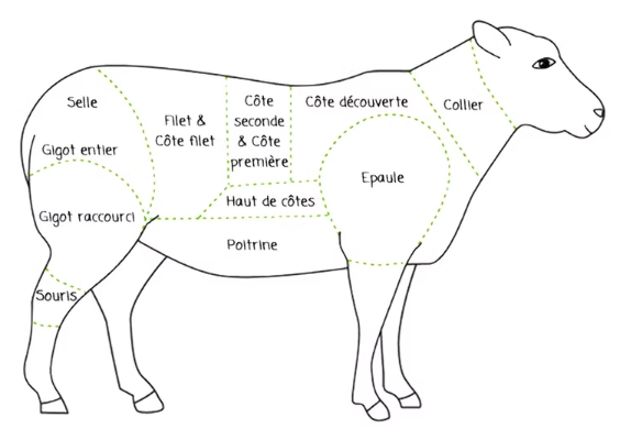 Schéma des morceaux d'agneau